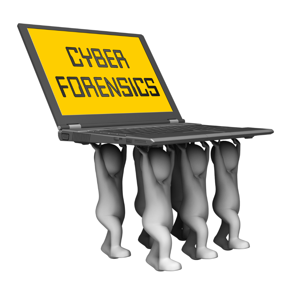 Cyber Forensics Services